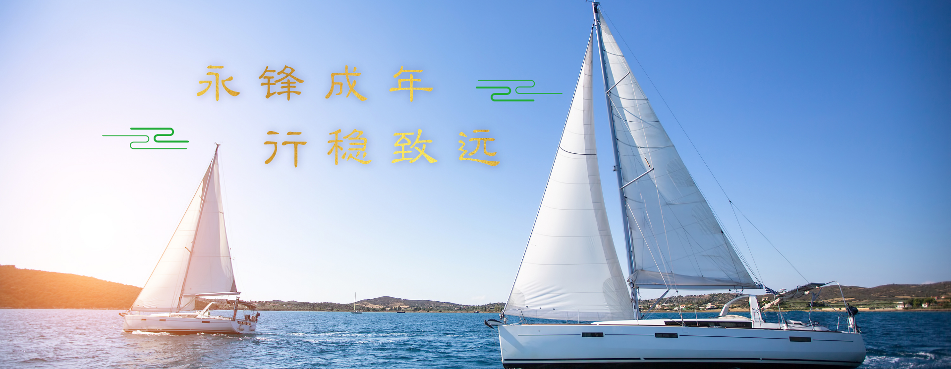 中國(guó)寶武鋼鐵集團(tuán)黨委書記、董事長(zhǎng)陳德榮來公司調(diào)研指導(dǎo)